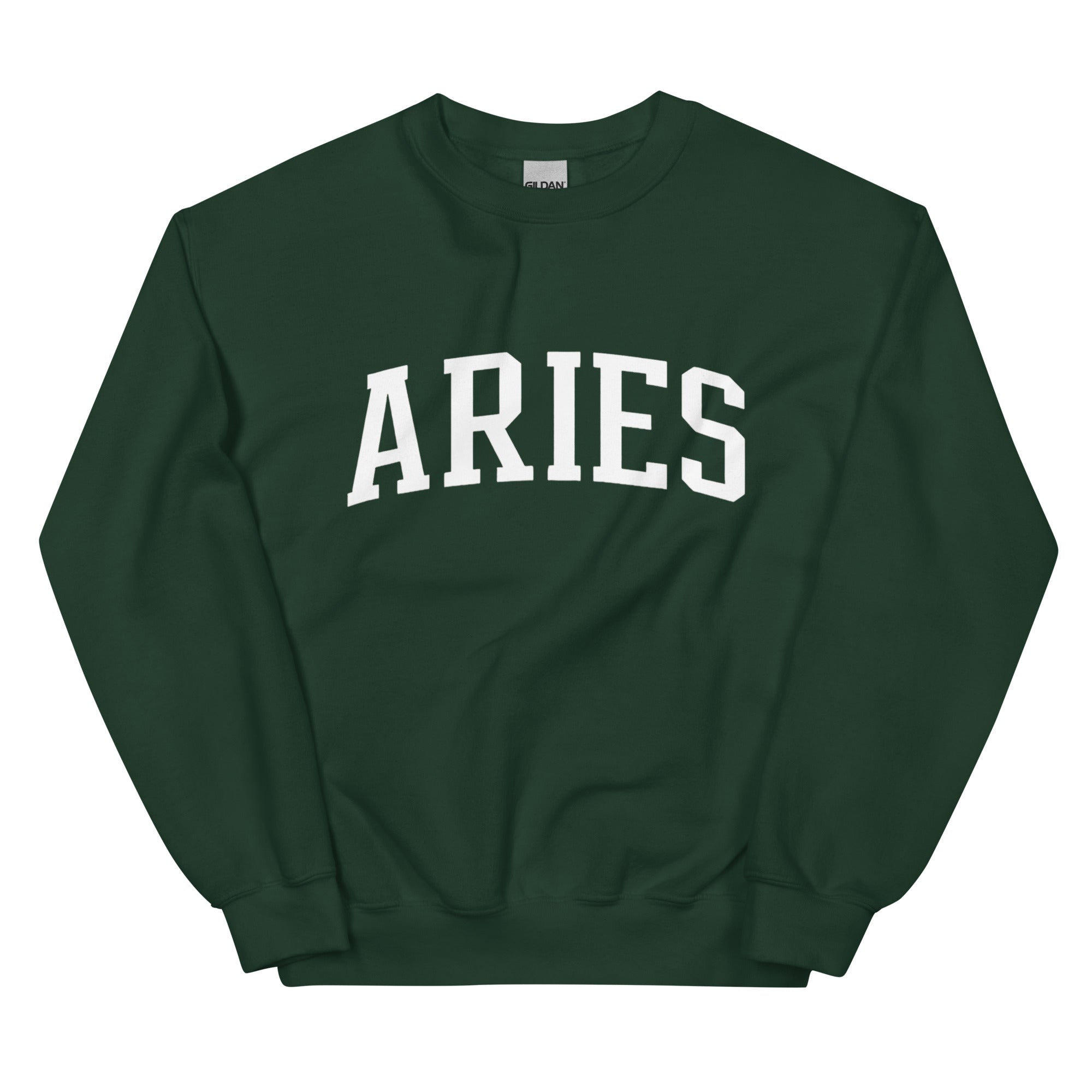 Aries スウェット Aries アリーズ Embroidered Temple Sweat クルーネックスウェット